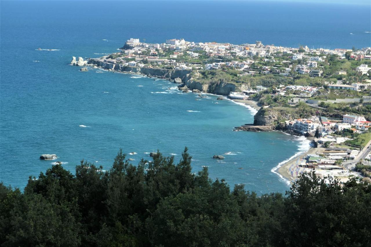 Villa Andrea Forio di Ischia Exterior foto