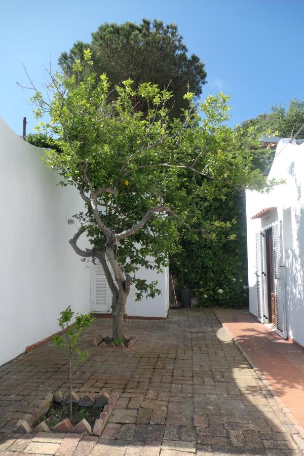 Villa Andrea Forio di Ischia Exterior foto