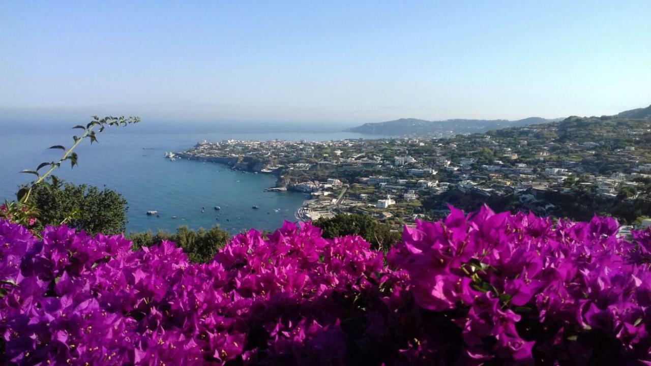 Villa Andrea Forio di Ischia Exterior foto