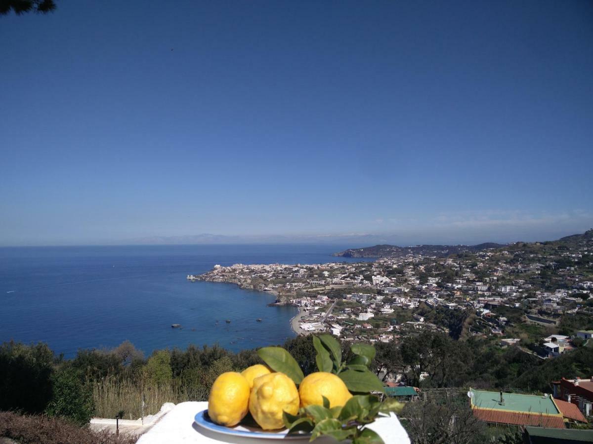 Villa Andrea Forio di Ischia Exterior foto