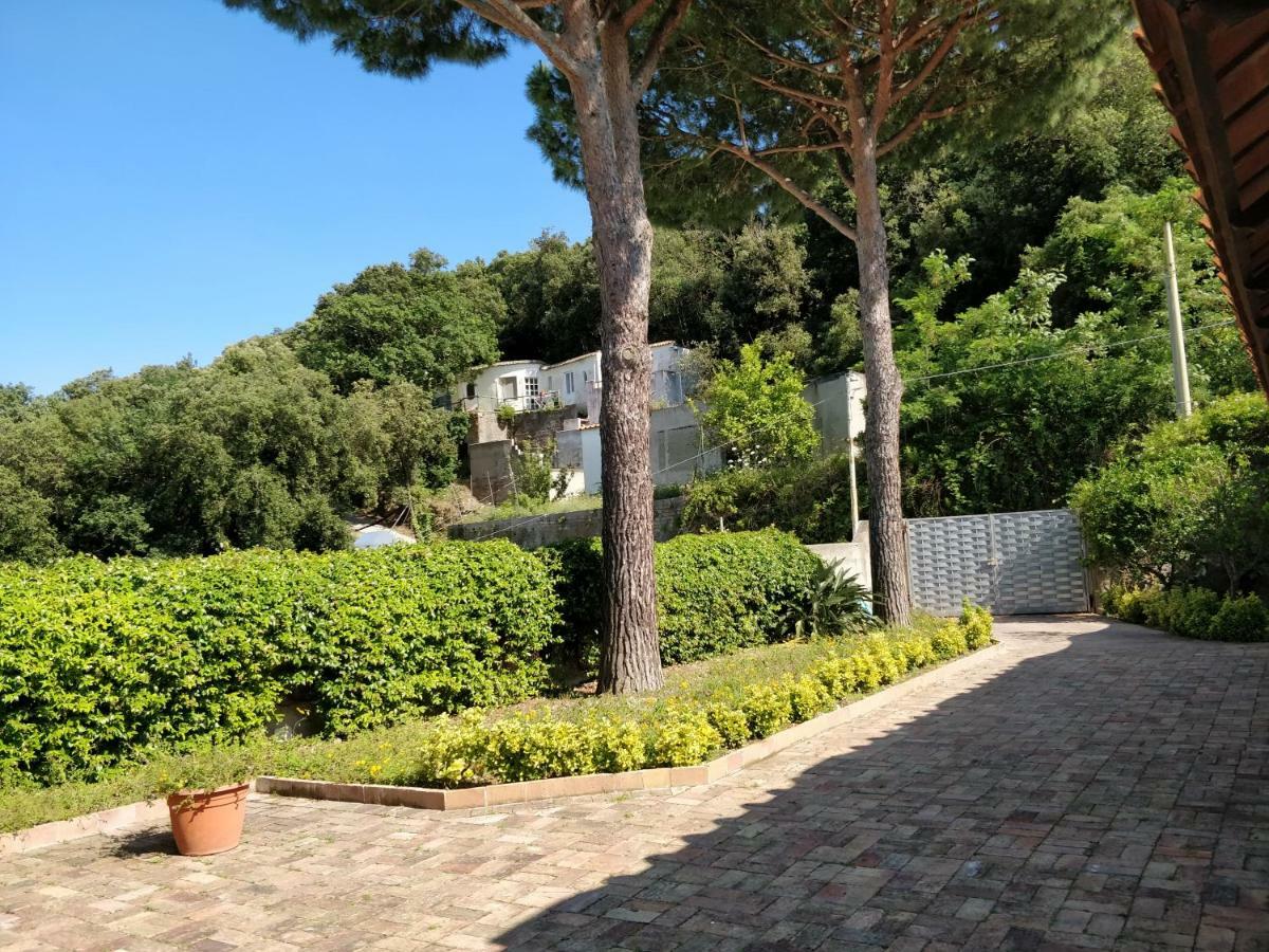 Villa Andrea Forio di Ischia Exterior foto