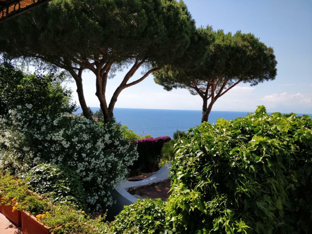 Villa Andrea Forio di Ischia Exterior foto