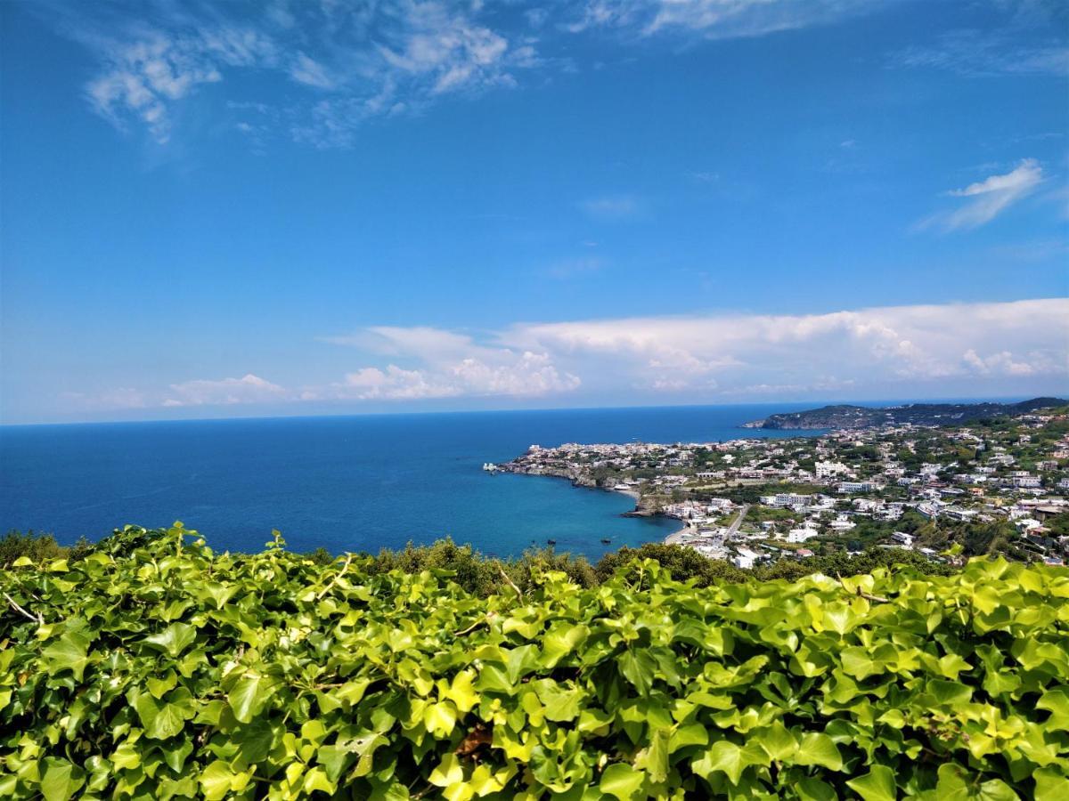 Villa Andrea Forio di Ischia Exterior foto