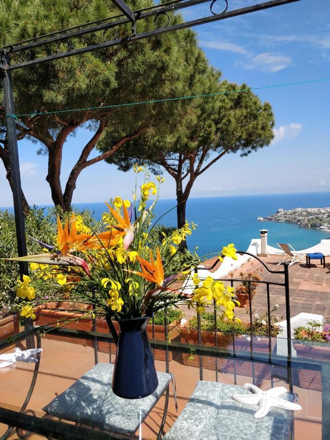 Villa Andrea Forio di Ischia Exterior foto